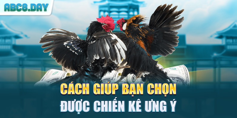 Cách giúp bạn chọn được chiến kê ưng ý