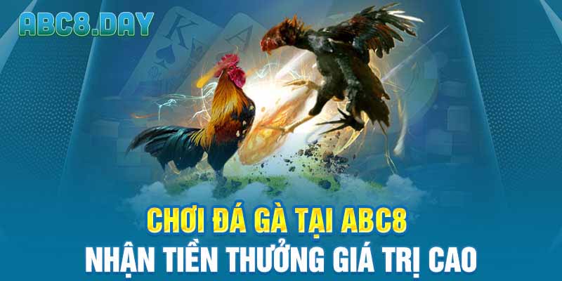 Chơi đá gà tại ABC8 nhận tiền thưởng giá trị cao