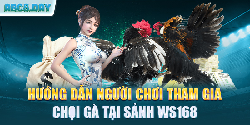 Hướng dẫn người chơi tham gia chọi gà tại sảnh WS168