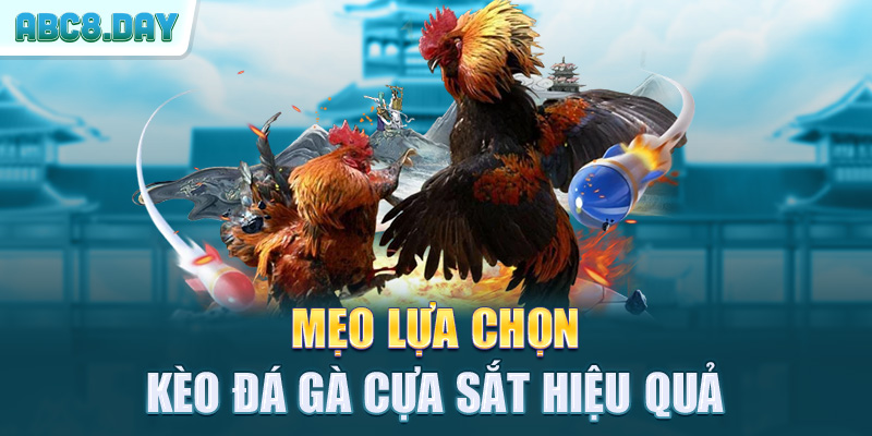 Mẹo lựa chọn kèo đá gà cựa sắt hiệu quả