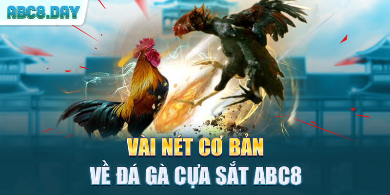 Vài nét cơ bản về đá gà cựa sắt ABC8